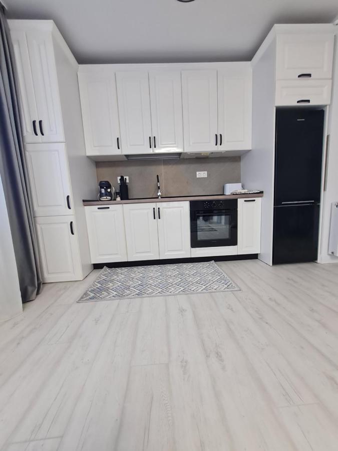 Perfect Residence Τιμισοάρα Εξωτερικό φωτογραφία